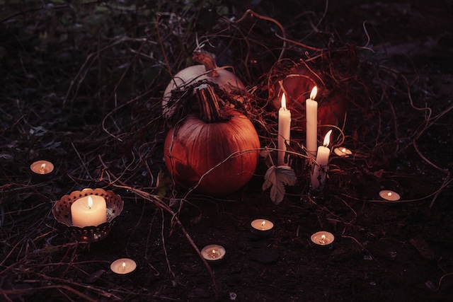 Halloween Warm-Up 2024: Gruseliger Familienspaß im Schlosspark Seifersdorf