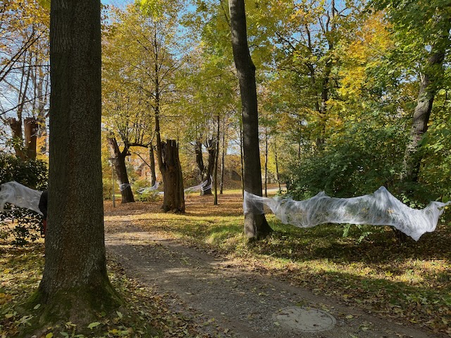 Das war das Halloween WarmUp im Seifersdorfer Schlosspark